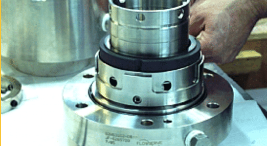 Mechanical Seals